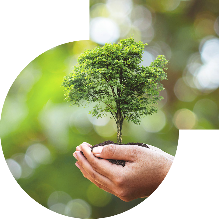 关怀人类、文化、环境与社会